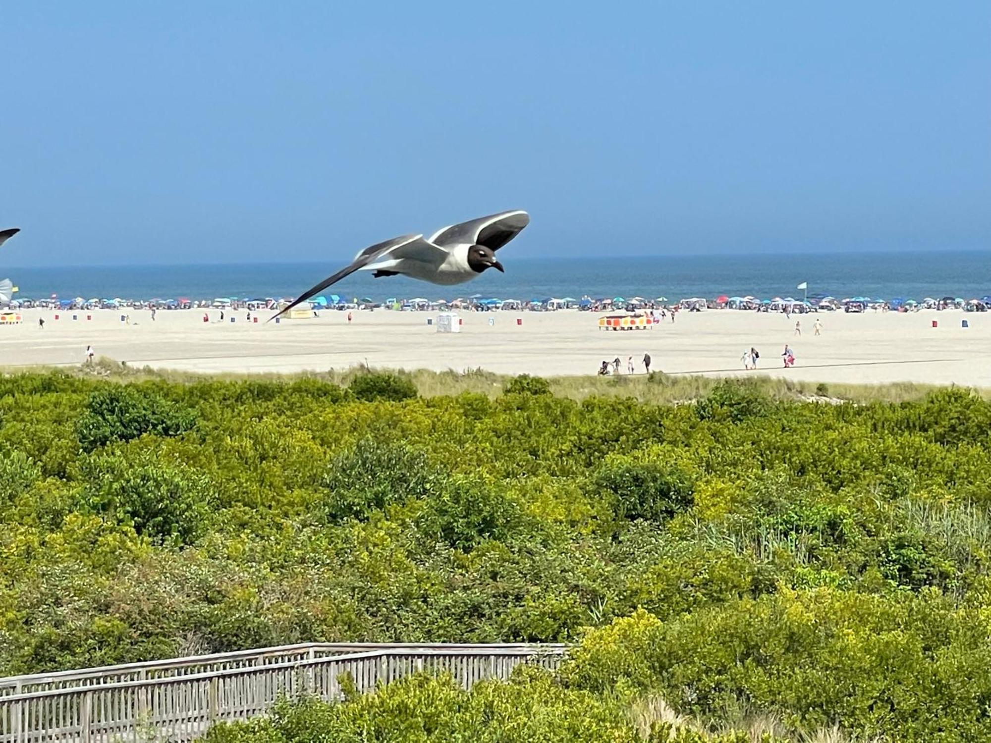 Beach Colony Motel 와일드우드크레스트 외부 사진