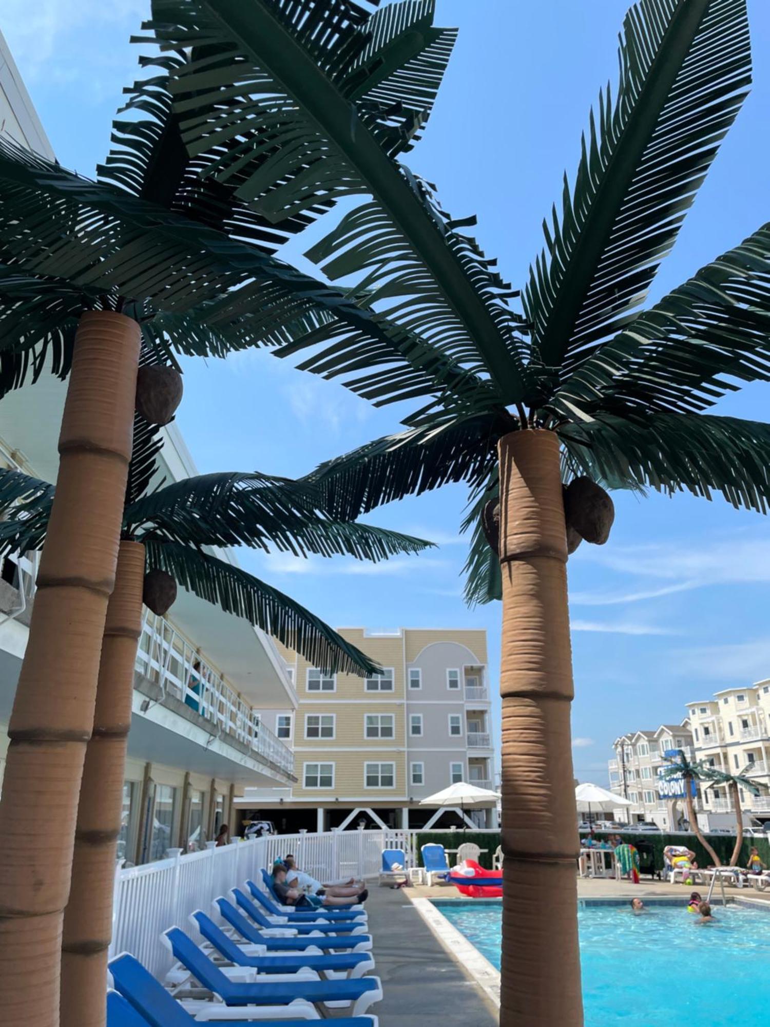 Beach Colony Motel 와일드우드크레스트 외부 사진